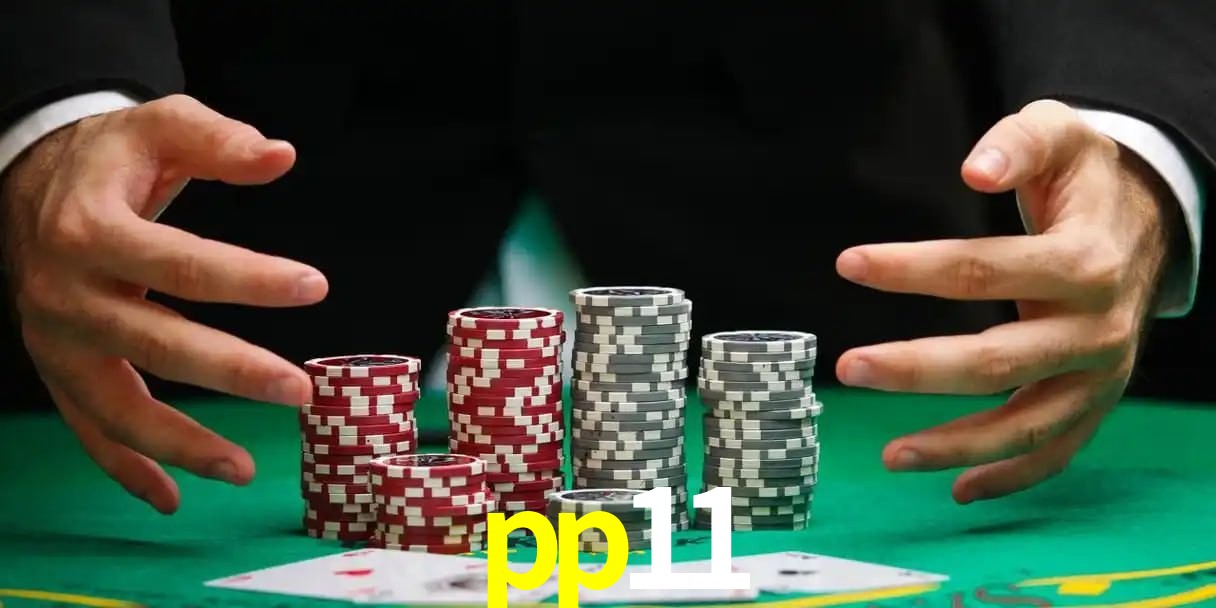 pp11 Aplicativo - pp11 visual 2